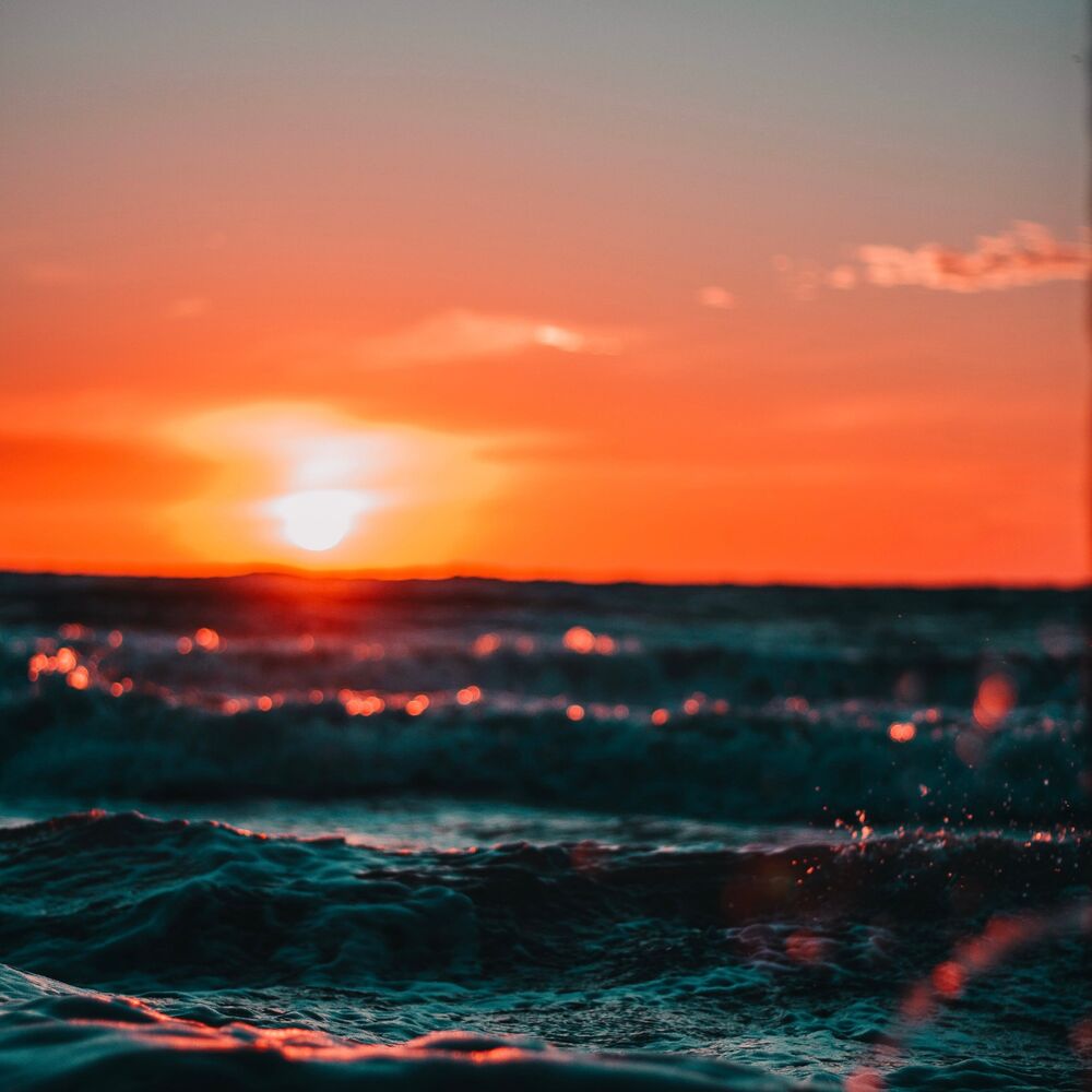 Picture of Waves