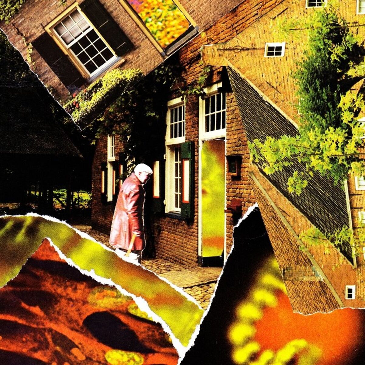 Album cover of Blue Herons