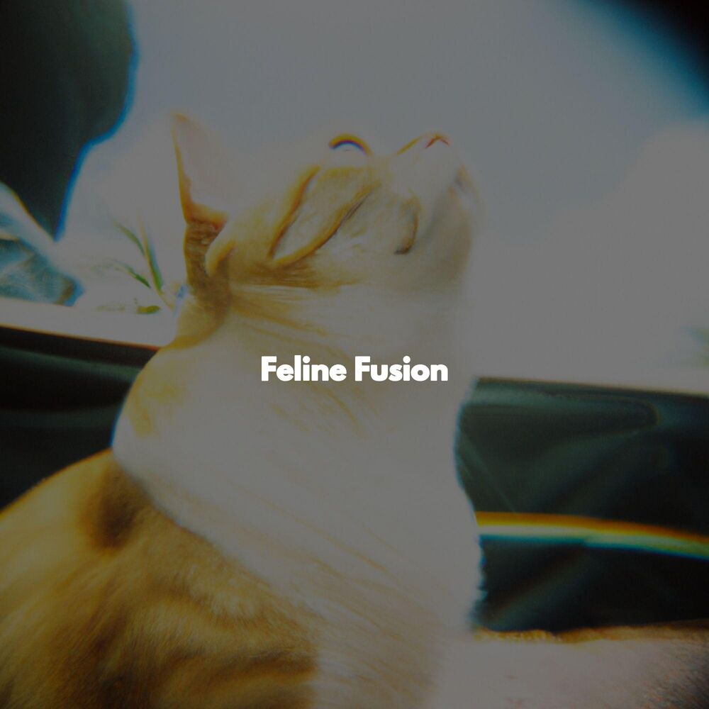 Picture of Feline Fusion