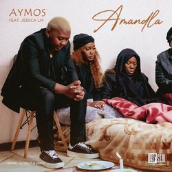 Cover of Amandla