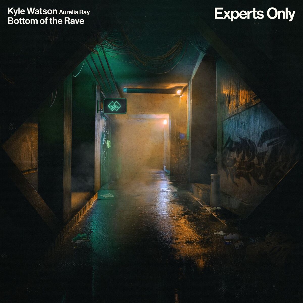 Album cover of Bottom of the Rave