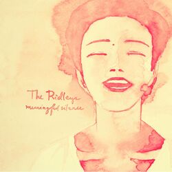 Cover of Meaningful Silence (Our Song)
