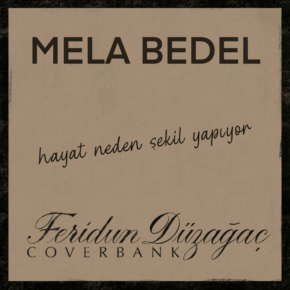Album cover of hayat neden şekil yapıyor