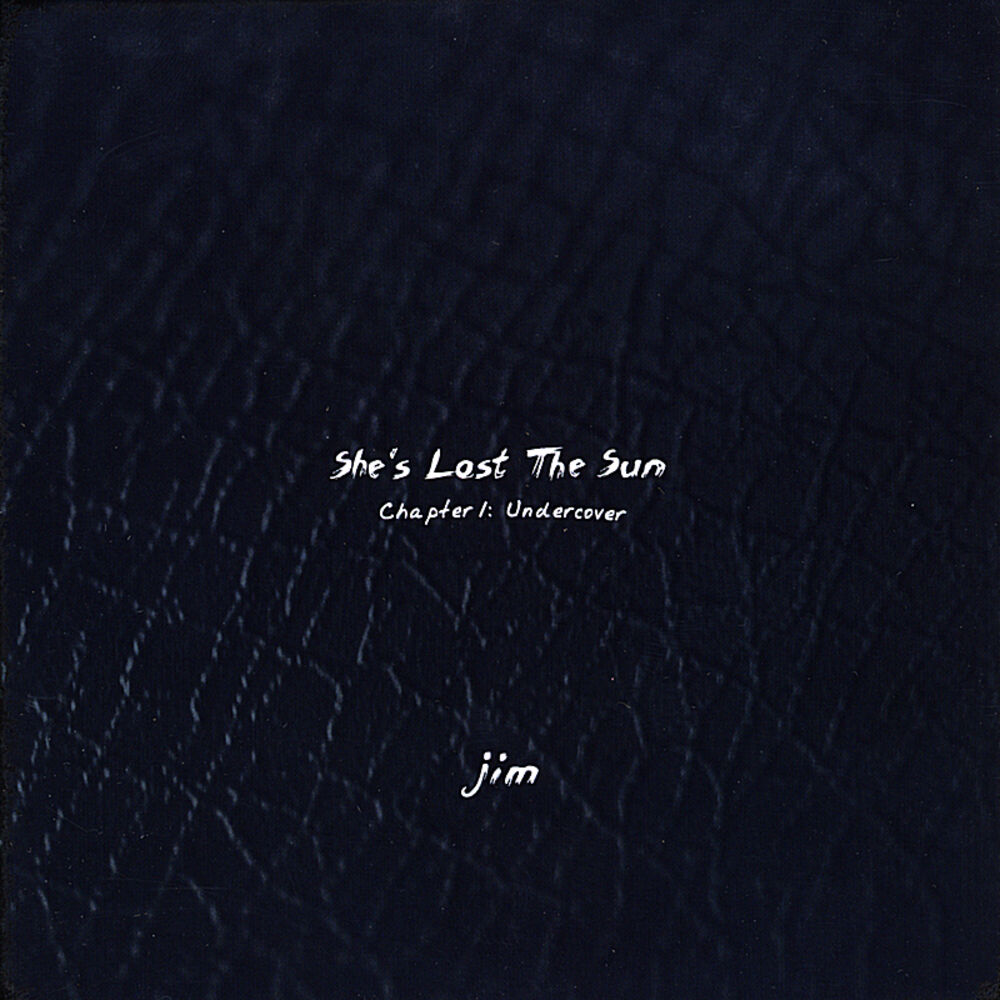 Picture of She's Lost the Sun - Chapter 1: Undercover