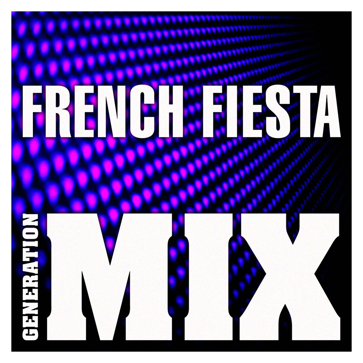 Album cover of French Fiesta Mix : Non Stop Medley Party