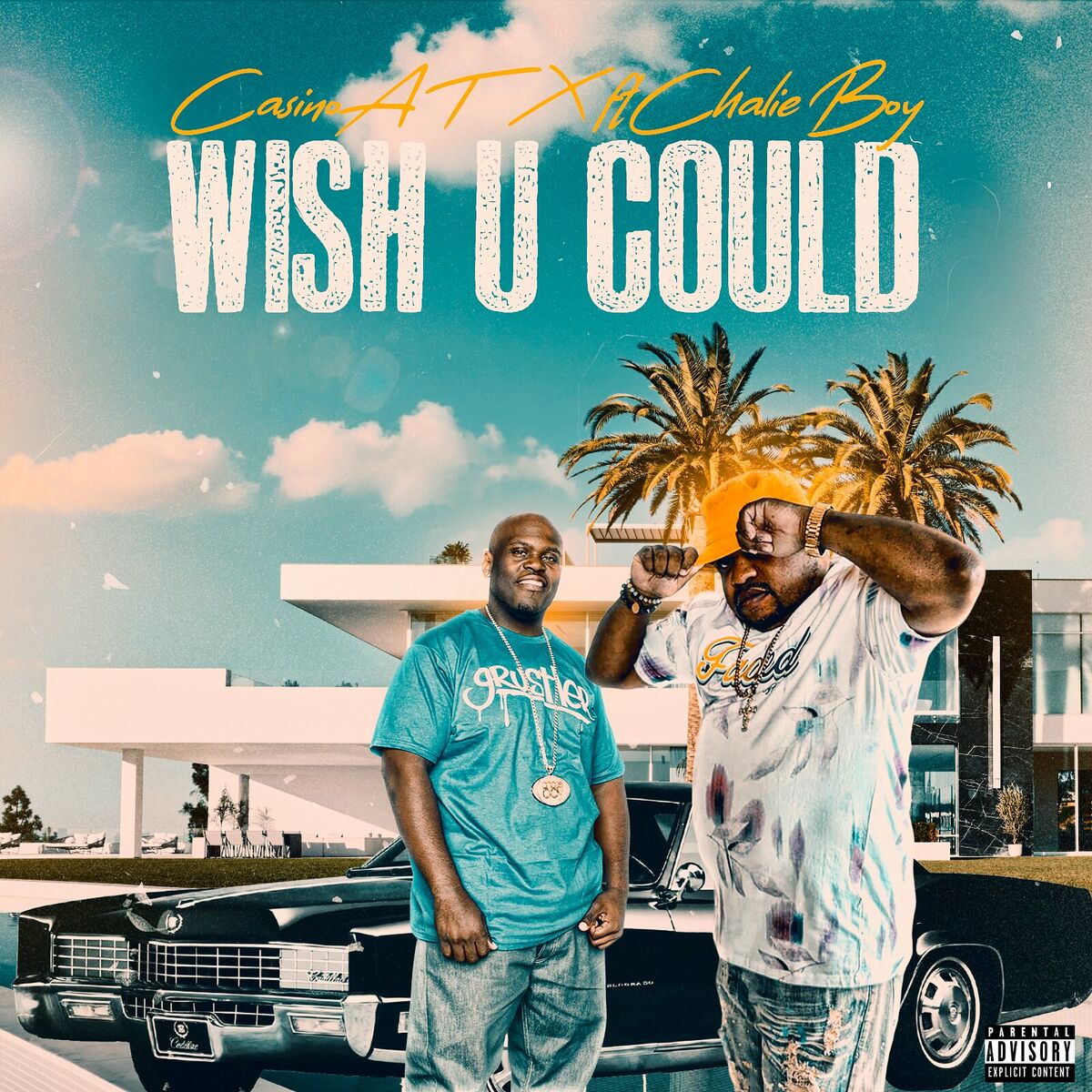 Album cover of Wish U Could