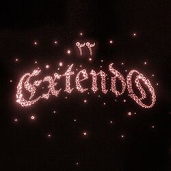 Cover of EXTENDO