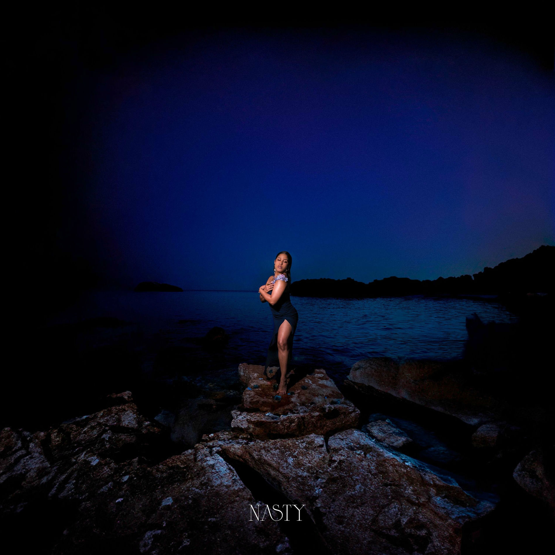 Album cover of NASTY