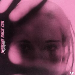 Cover of Nemishe Back Zad