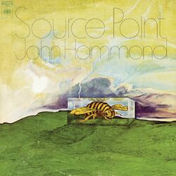 Cover of Source Point
