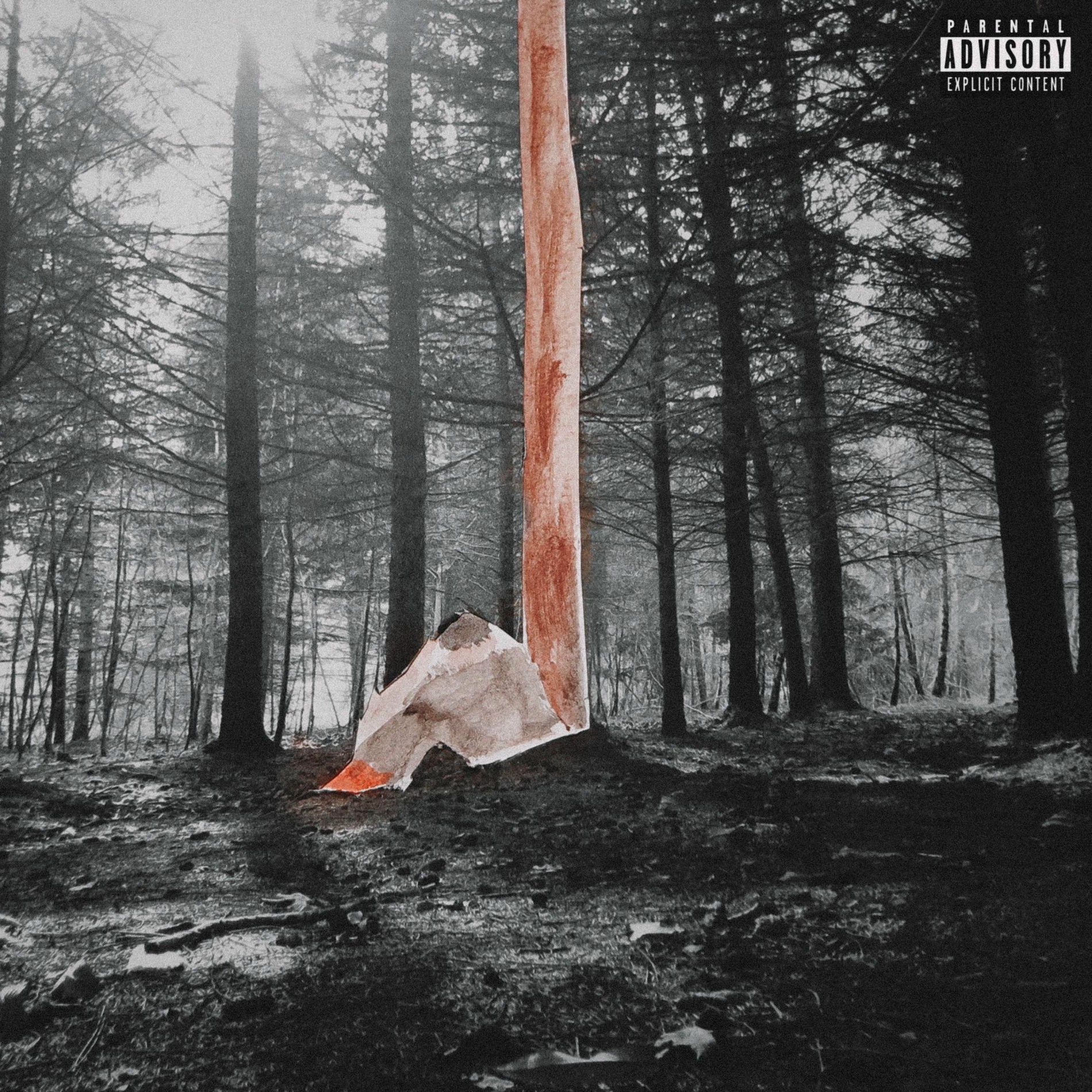 Album cover of Wokup&Friends
