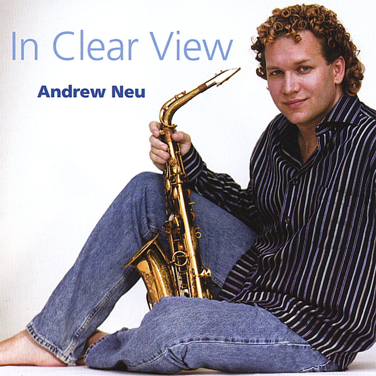 Album cover of In Clear View