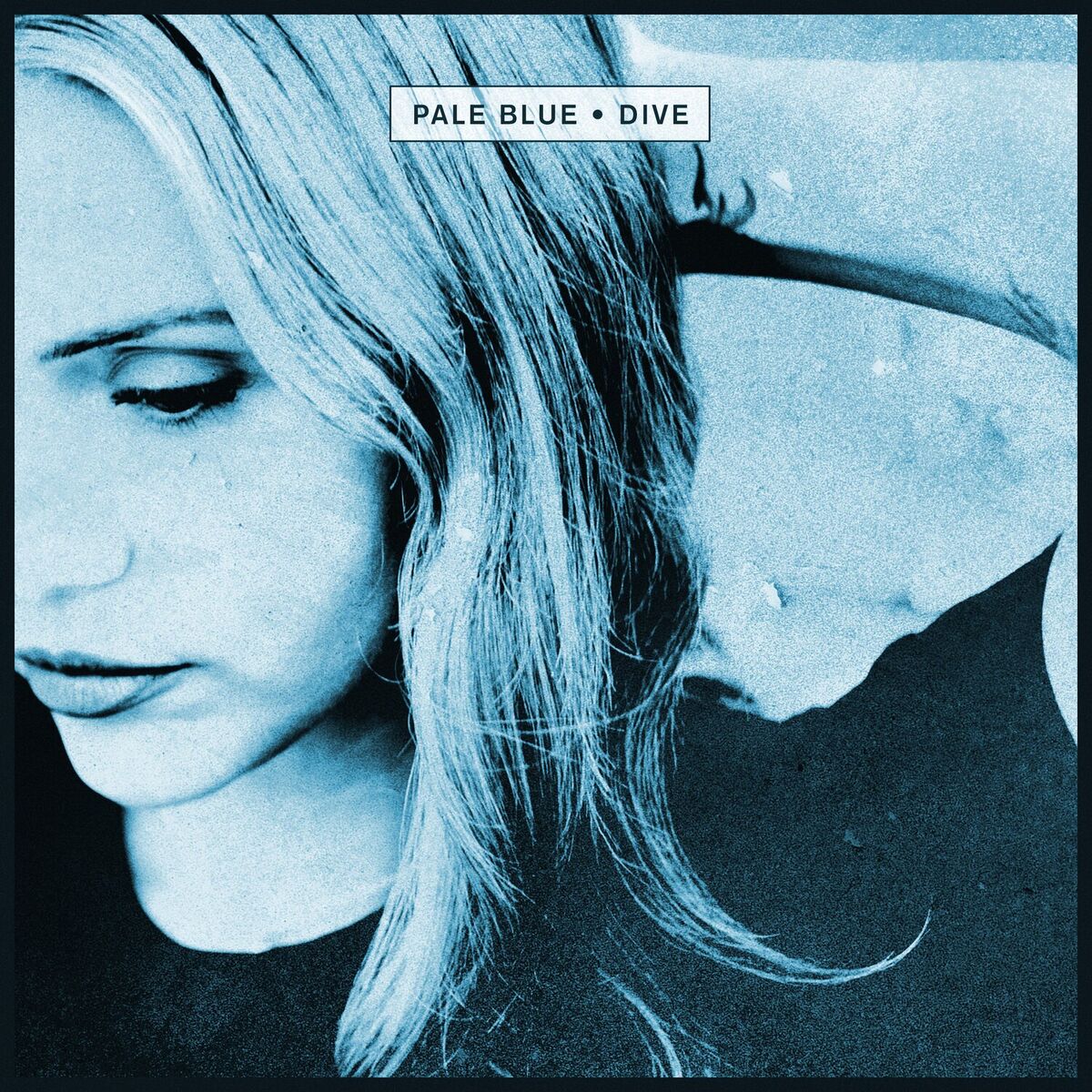 Album cover of Dive