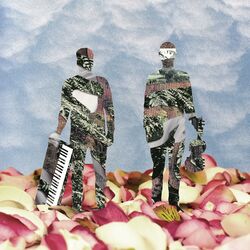 Cover of Peaks
