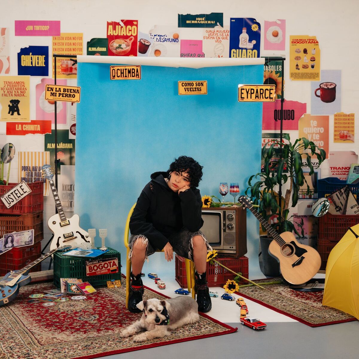 Album cover of La Chinita