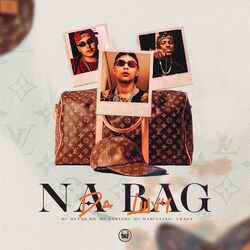 Cover of Na Bag da Luivy