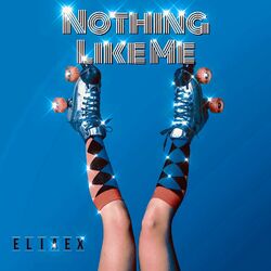 Cover of Nothing Like Me