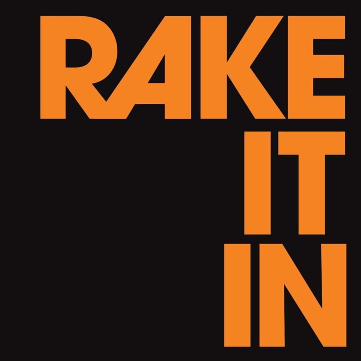 Album cover of Rake It In