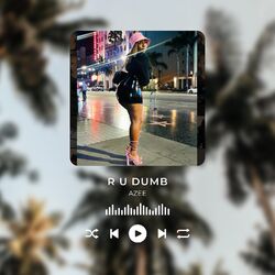 Cover of R U Dumb
