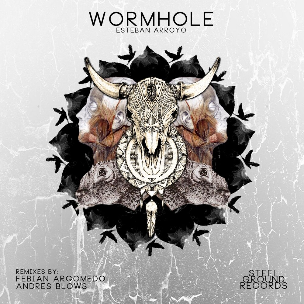 Picture of WormHole / Rounds