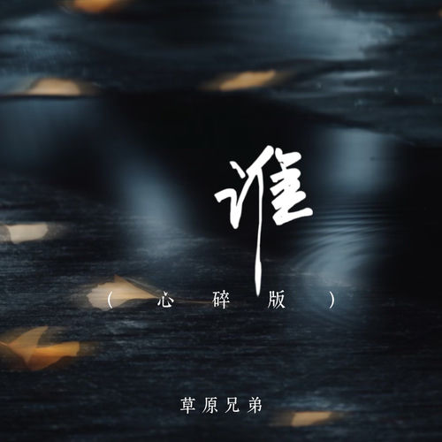 谁（越来越憔悴是为了谁）