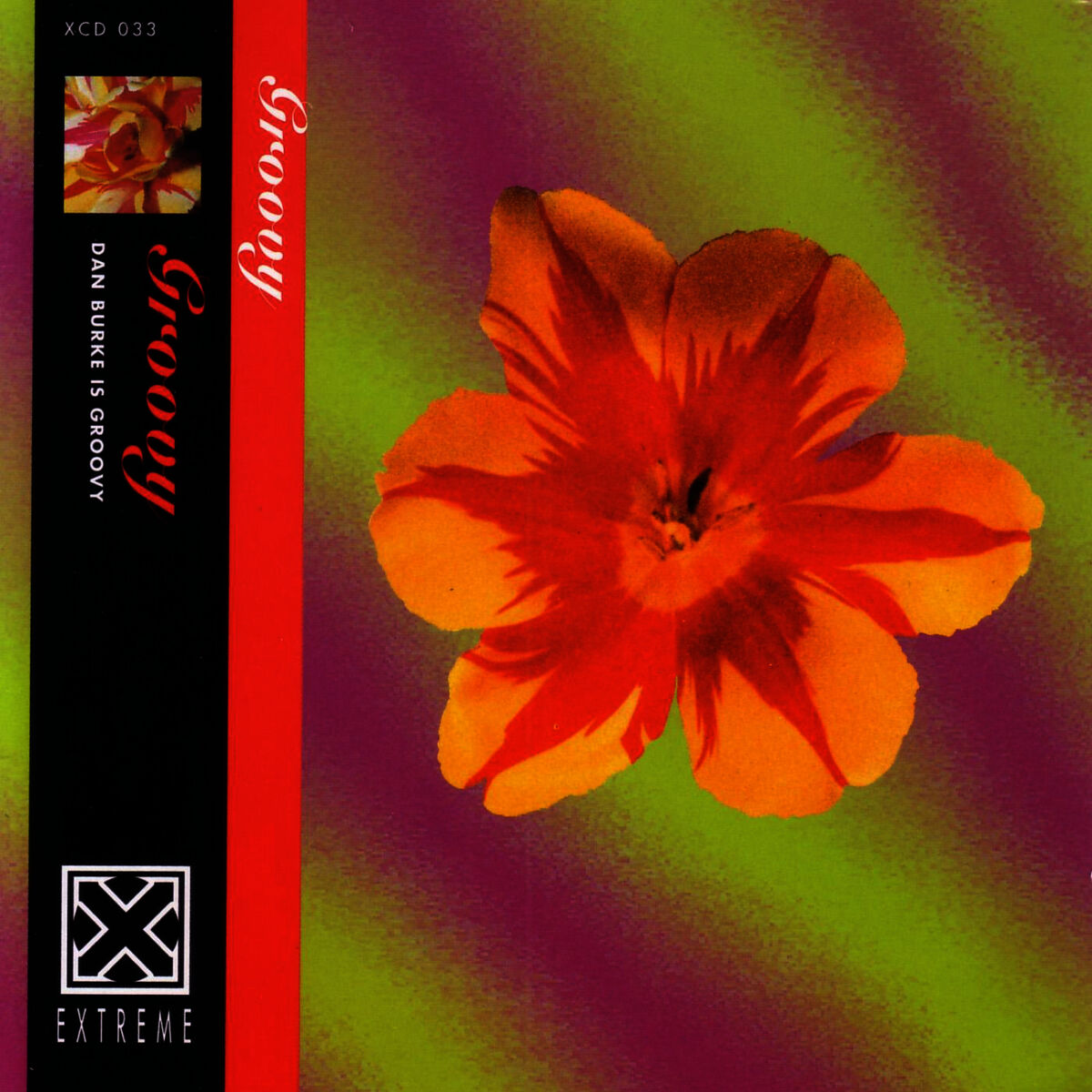 Album cover of Groovy: The Rebirth Of Retro-Cool