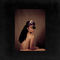 Disarray by Lianne La Havas album cover