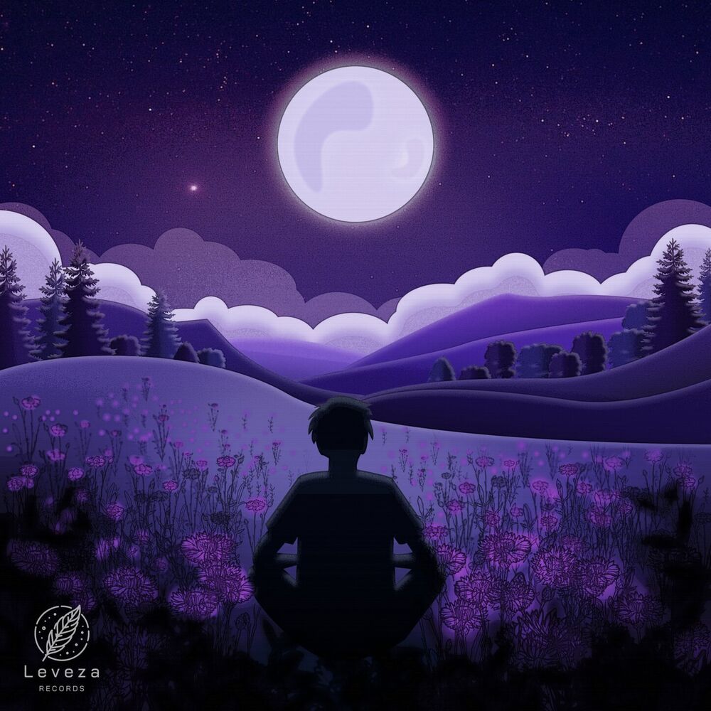 Picture of like a shooting star