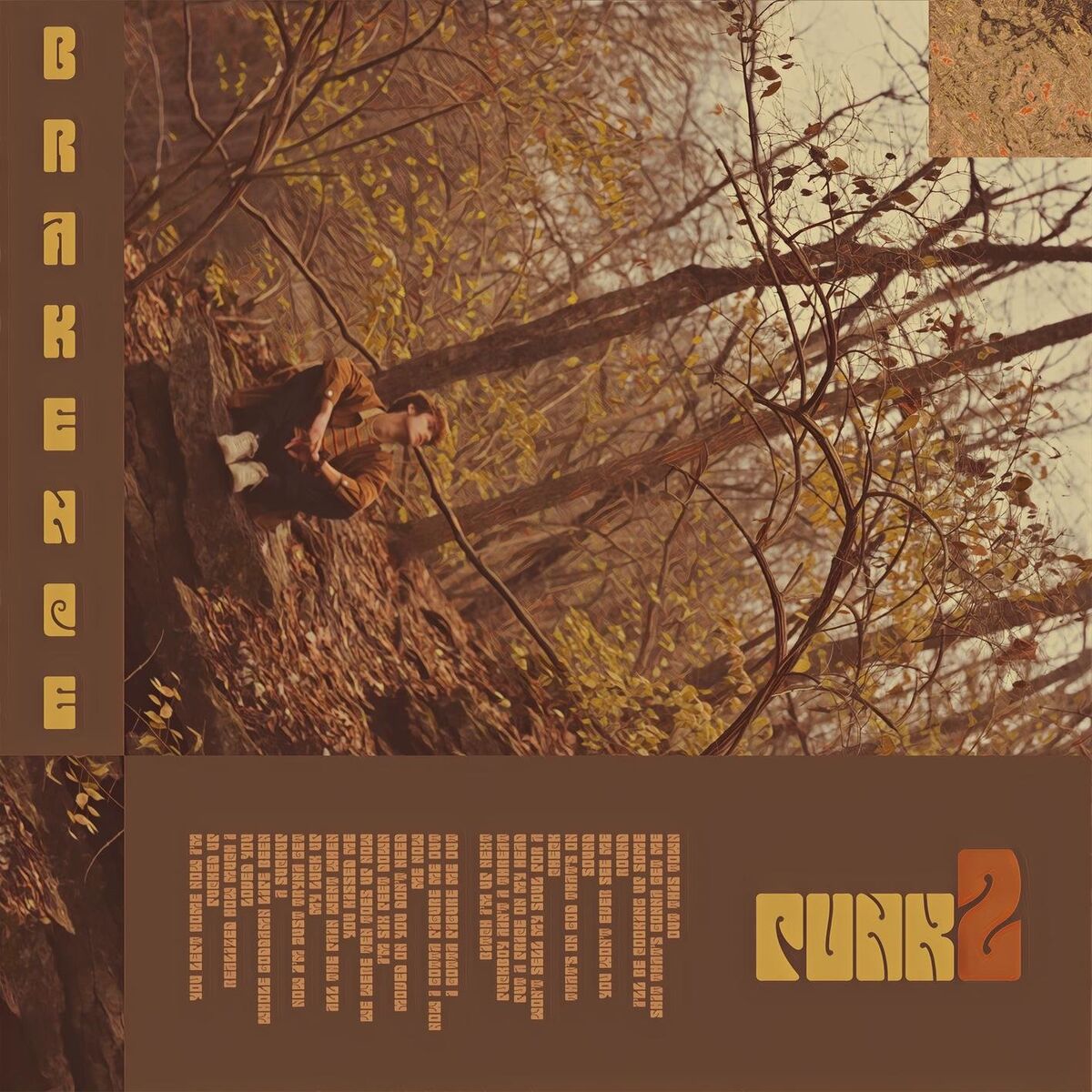 Album cover of punk2