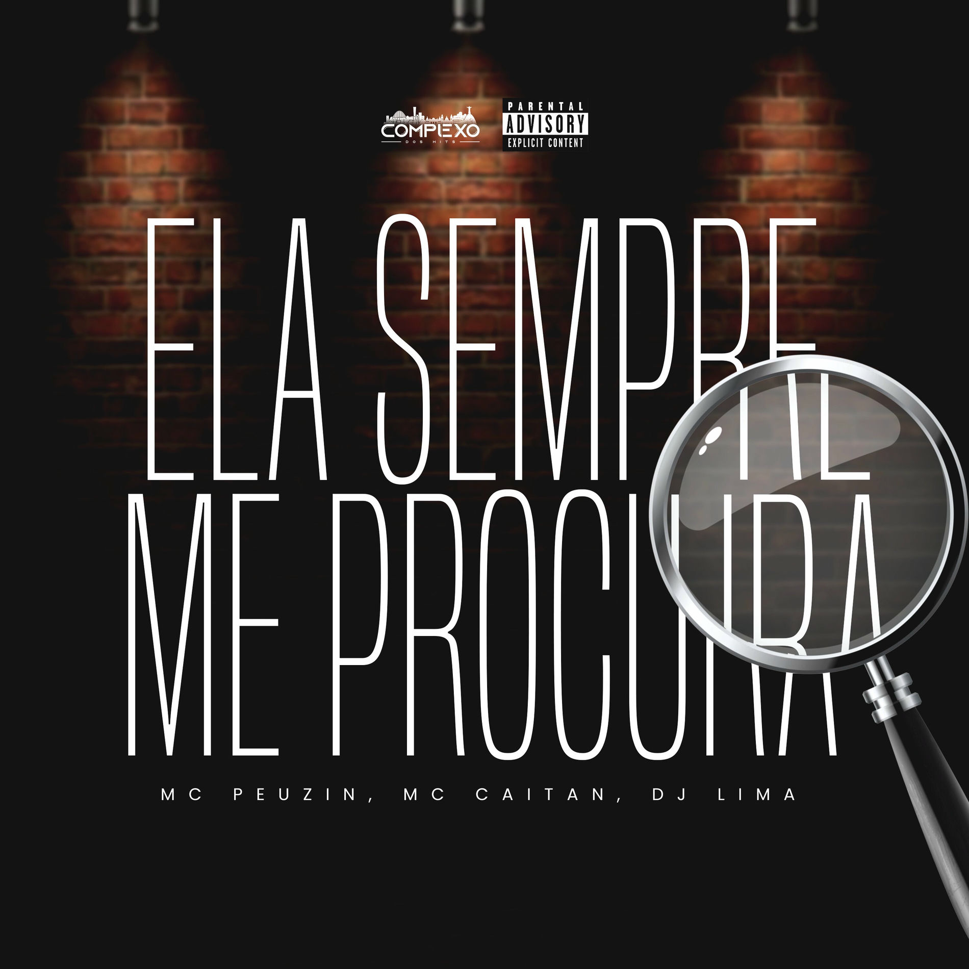 Album cover of Ela Sempre Me Procura