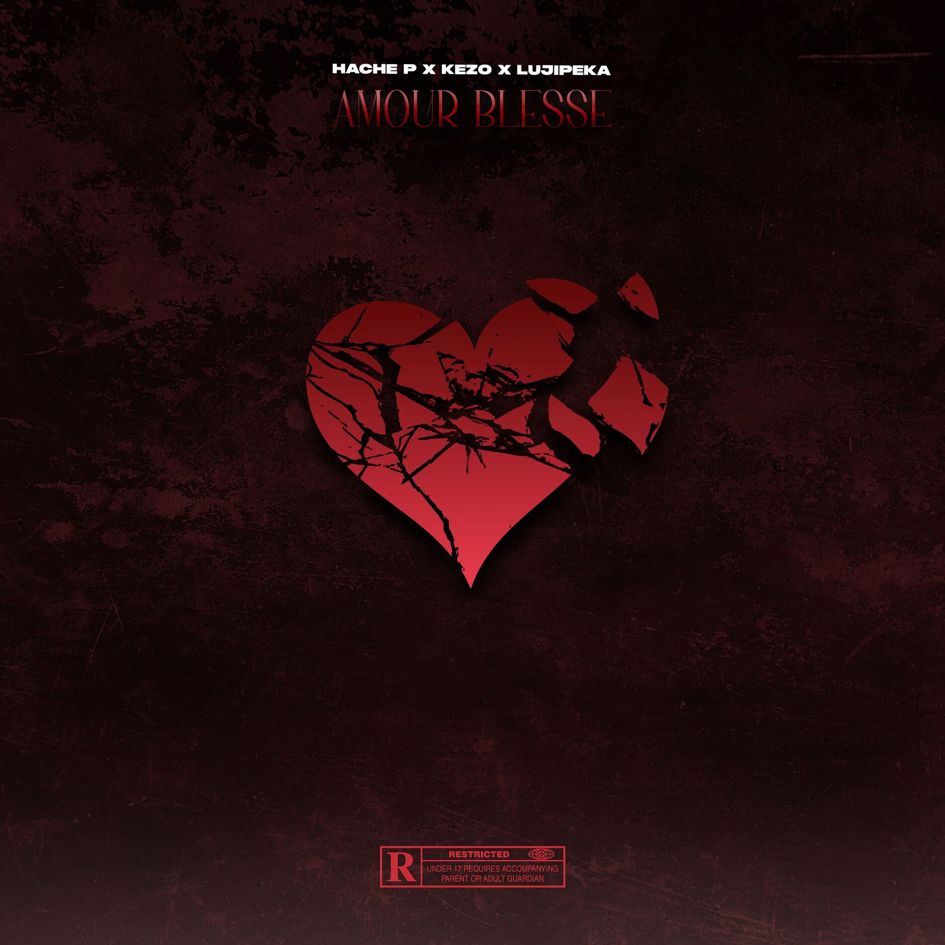 Album cover of Amour Blesse