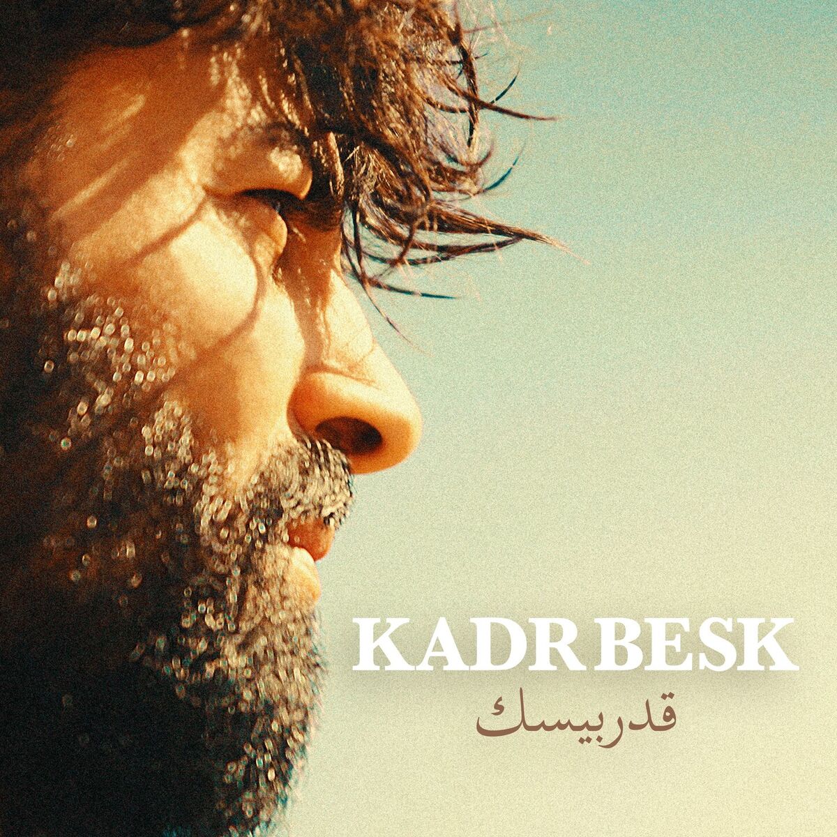 Album cover of Sabret Leyla