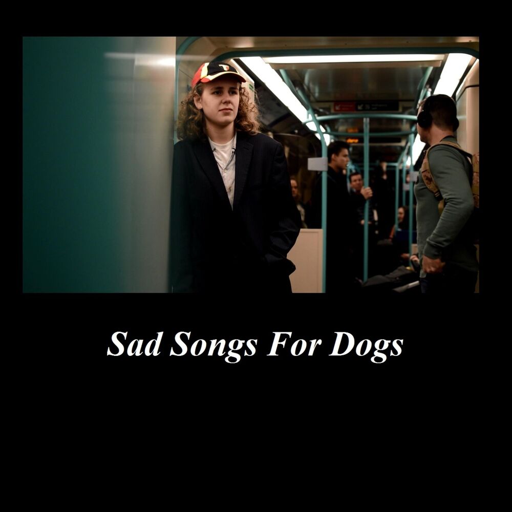 Picture of Sad Songs for Dogs