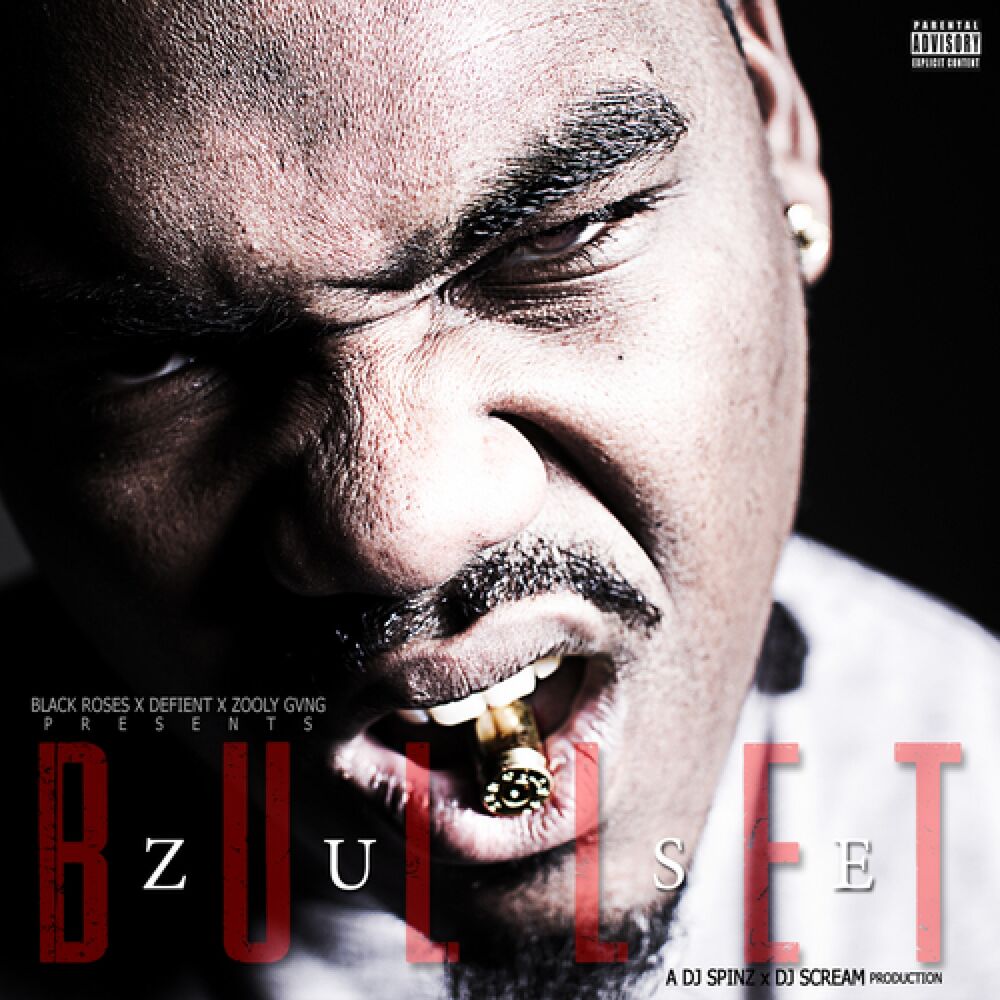 Picture of Bullet