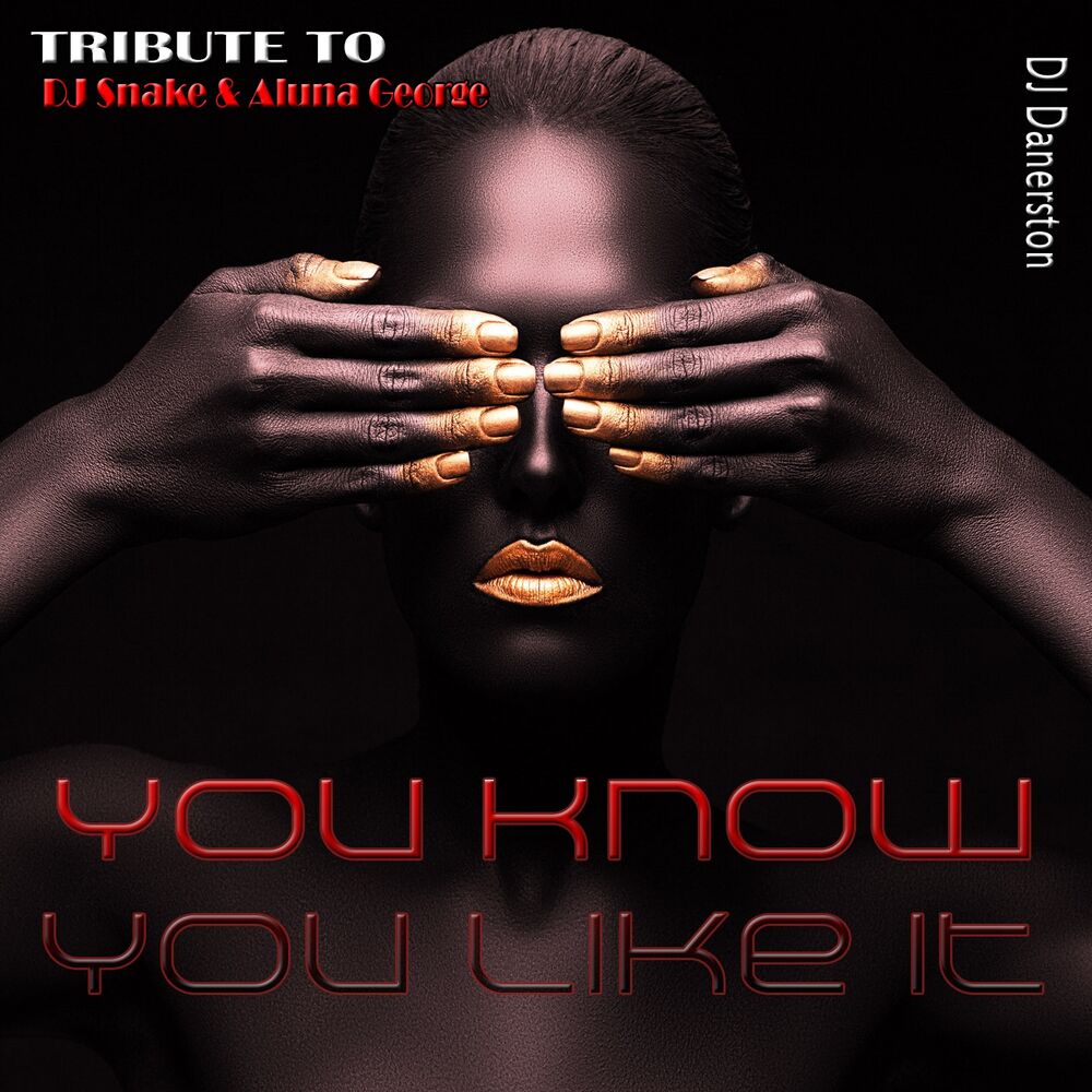 Picture of You Know You Like It (Tribute to DJ Snake & Aluna George)