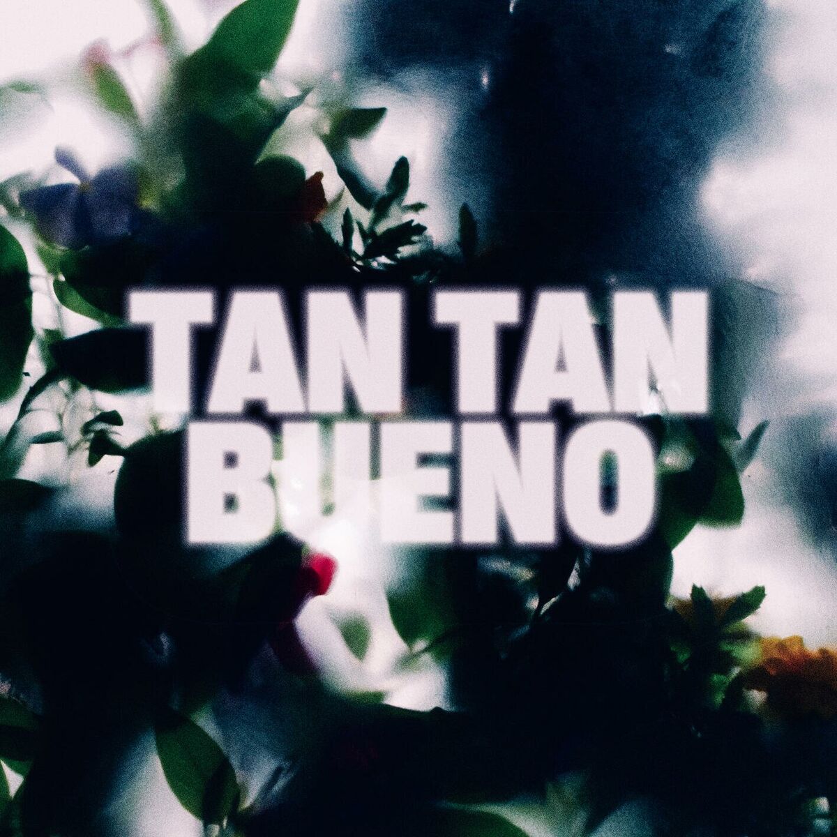 Album cover of Tan Tan Bueno
