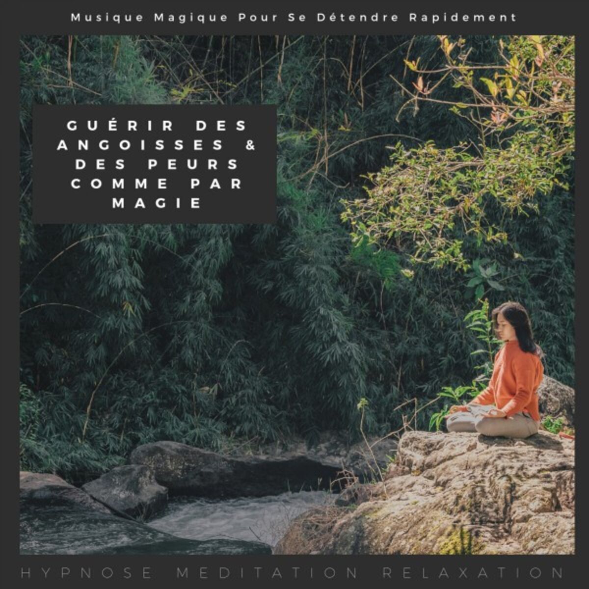 Album cover of Guérir des angoisses & des peurs comme par magie (Musique magique pour se détendre rapidement)