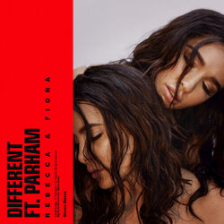Cover of Different