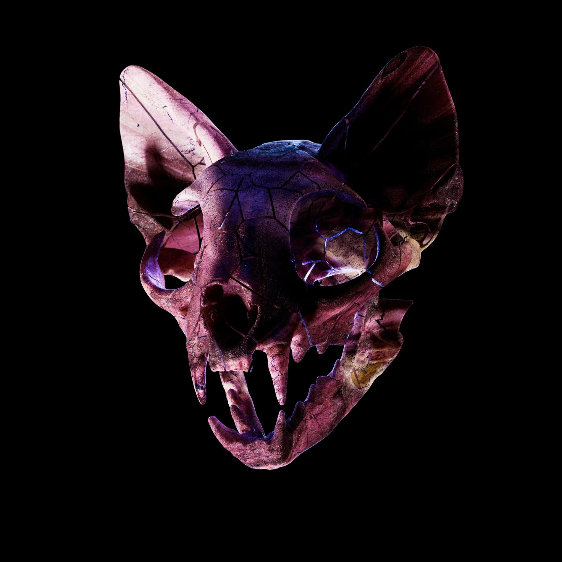 Album cover of Dust On Roads (with Jazz Cartier)