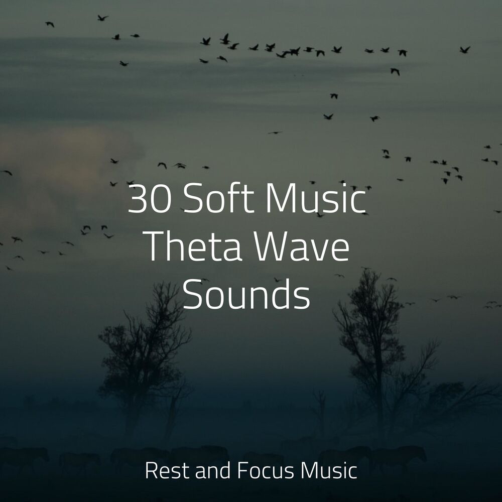 Picture of 30 Soft Music Theta Wave Sounds