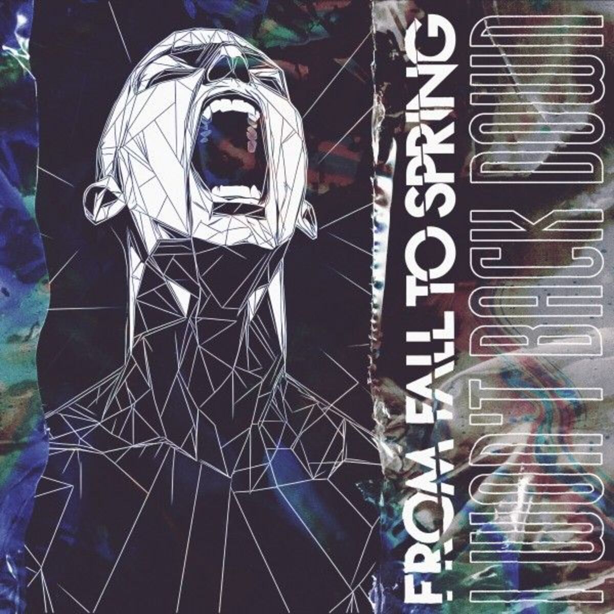 Album cover of I WON'T BACK DOWN