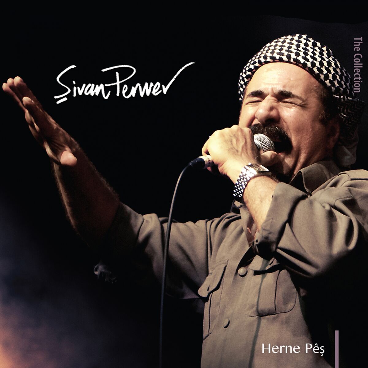 Album cover of Herne Pêş (The Collection)