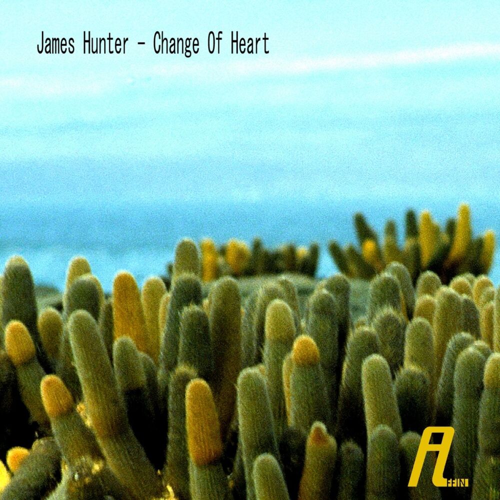 Picture of Change of Heart