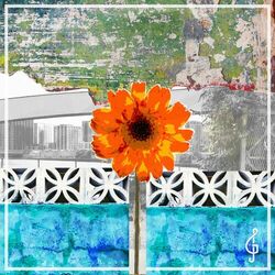 Cover of Flowers