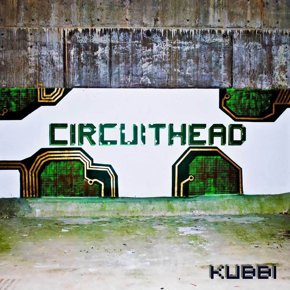 Album cover of Circuithead