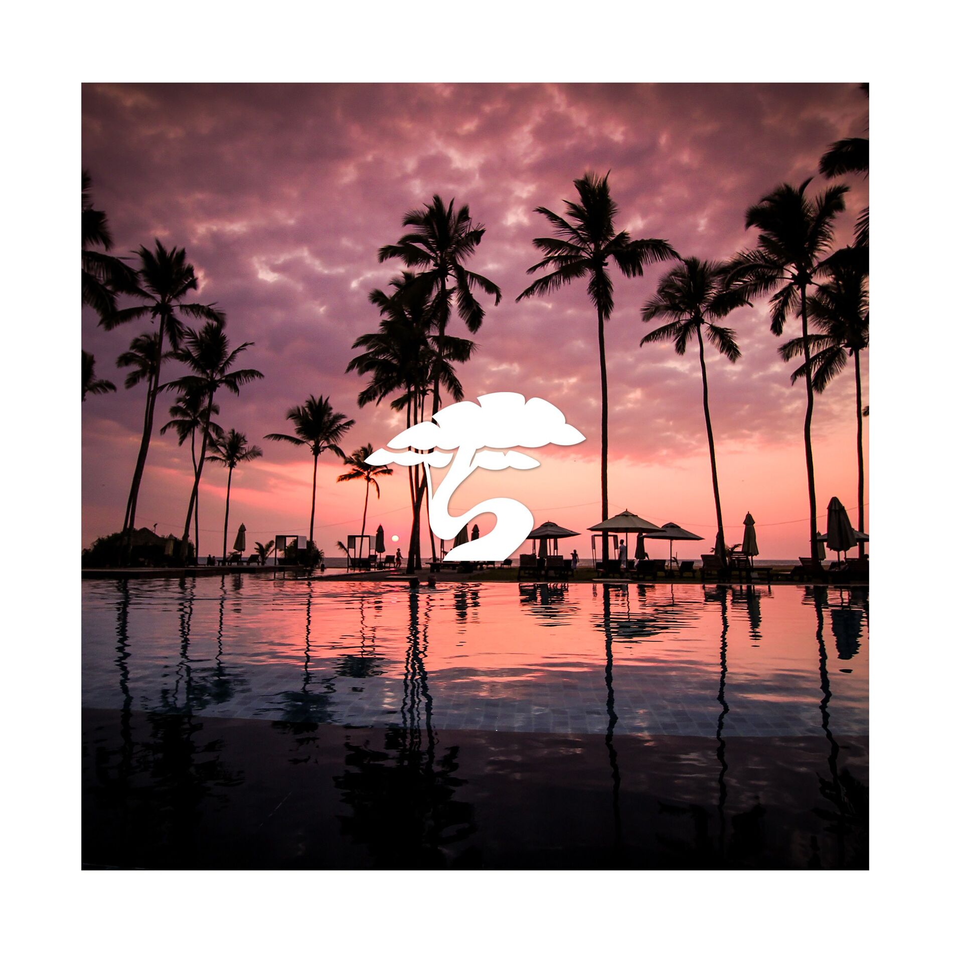 Album cover of day + night