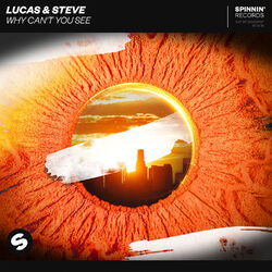Cover of Why Can't You See