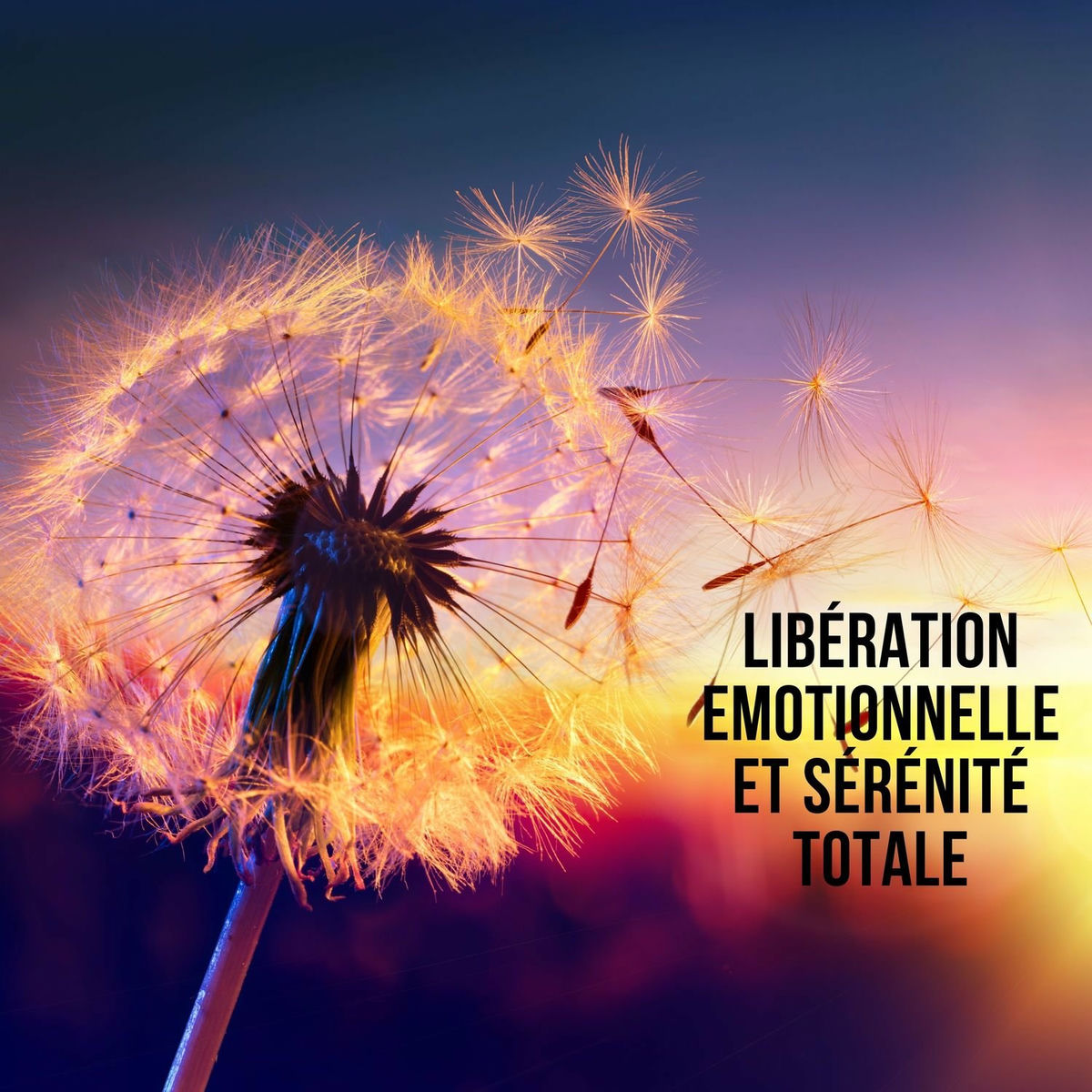 Album cover of Libération emotionnelle et sérénité totale