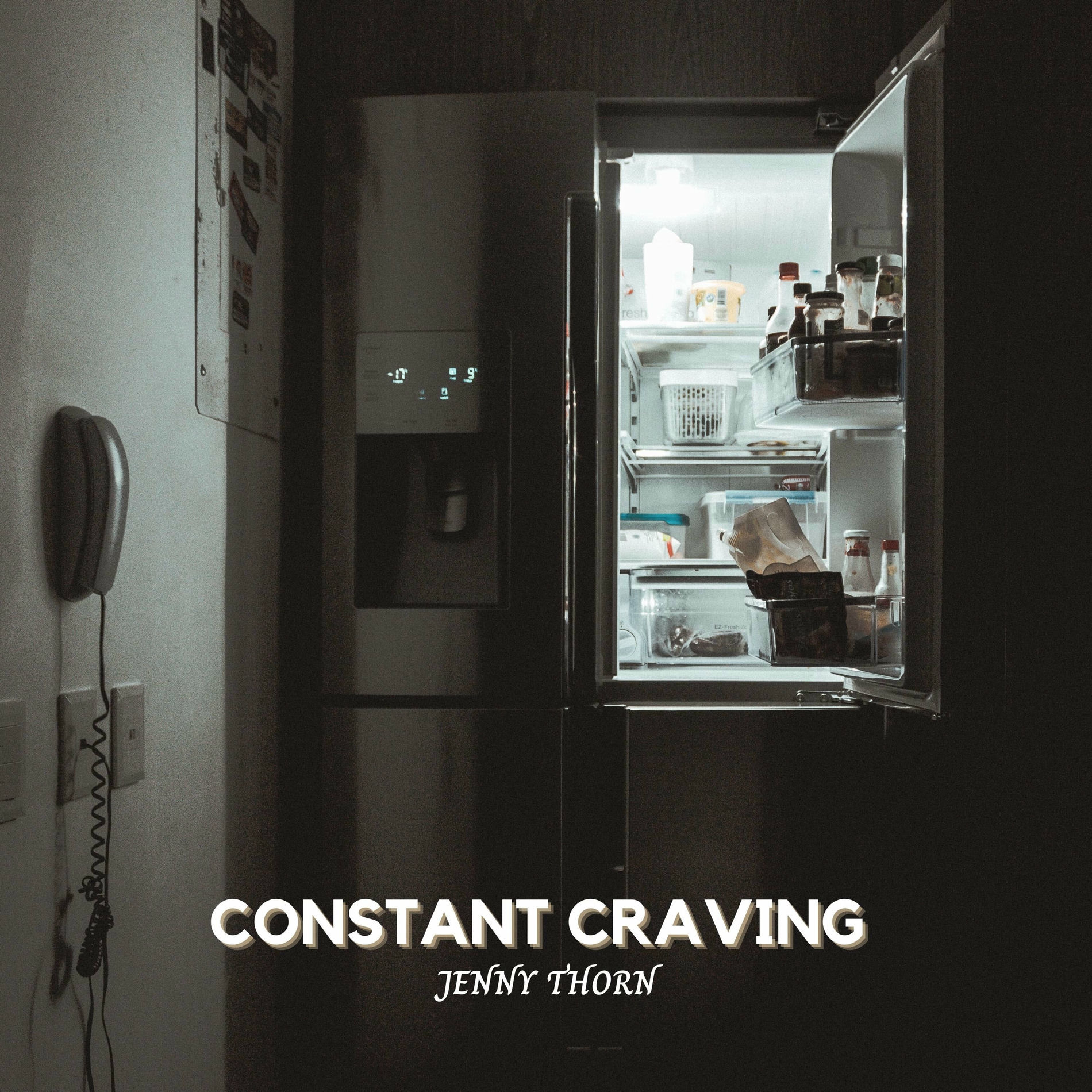 Album cover of Constant Craving