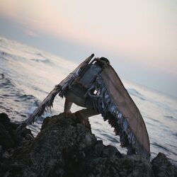Cover of After The Odyssey